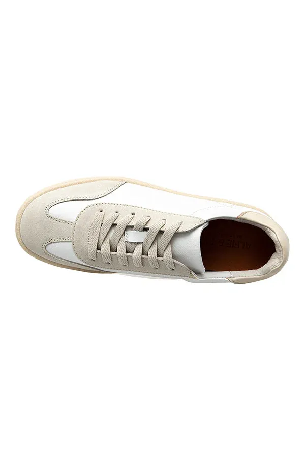 Abbie Cream Sneaker