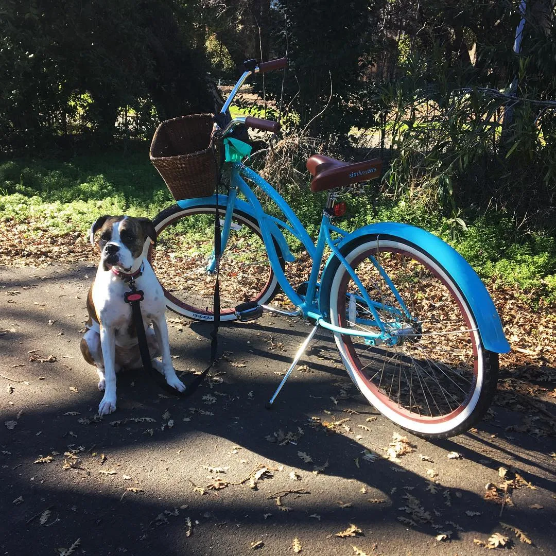 sixthreezero Breathe Women's 26" 7 Speed Beach Cruiser Bicycle