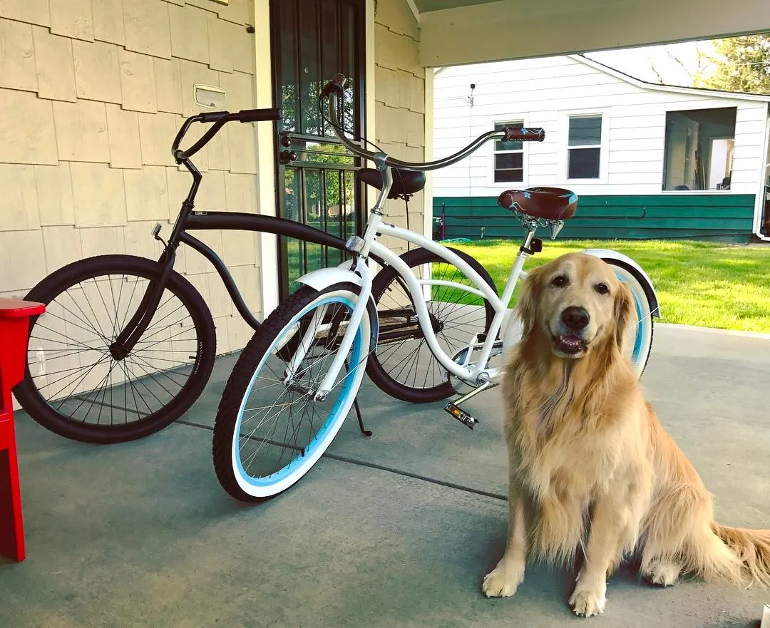 sixthreezero Paisley 3 Speed 26" Women's Beach Cruiser Bike