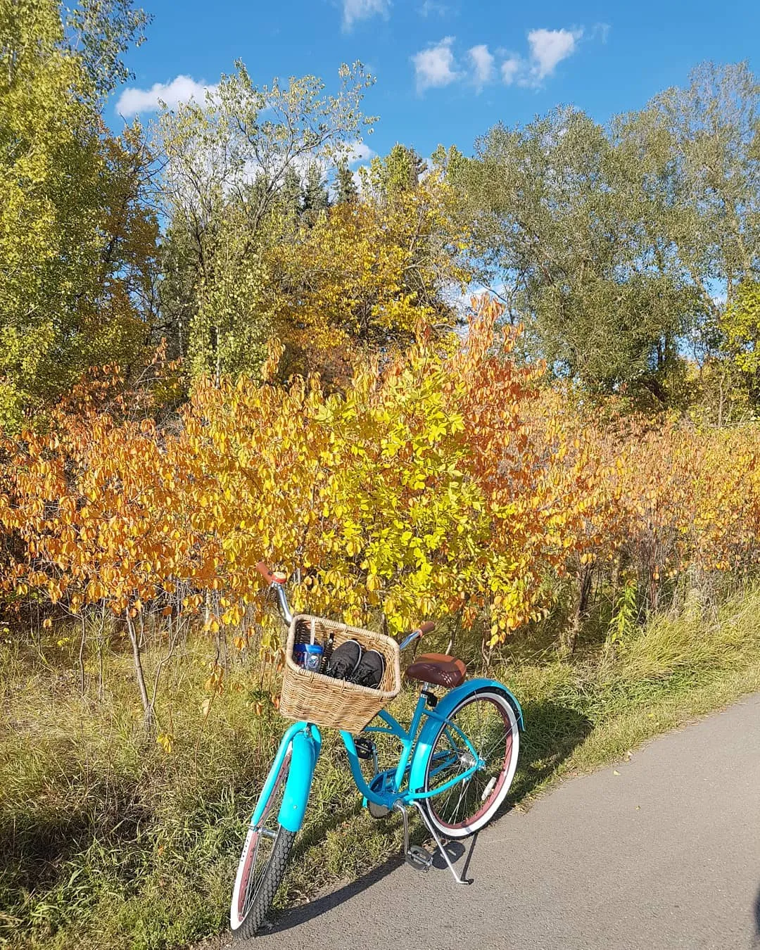 sixthreezero Paisley 3 Speed 26" Women's Beach Cruiser Bike